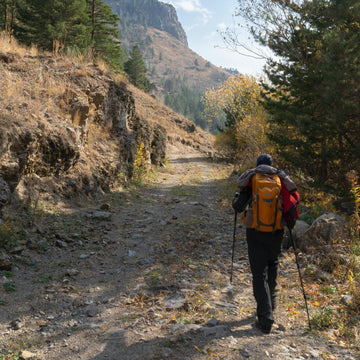 Unraveling the Enigmatic Advantages of Trekking Poles in the Hiker's Odyssey