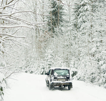 Winter Blizzard Survival